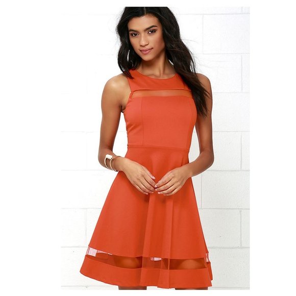 Lulus Dresses & Skirts - Lulu’s - ‘Sheer Determination’ Mesh Skater Dress